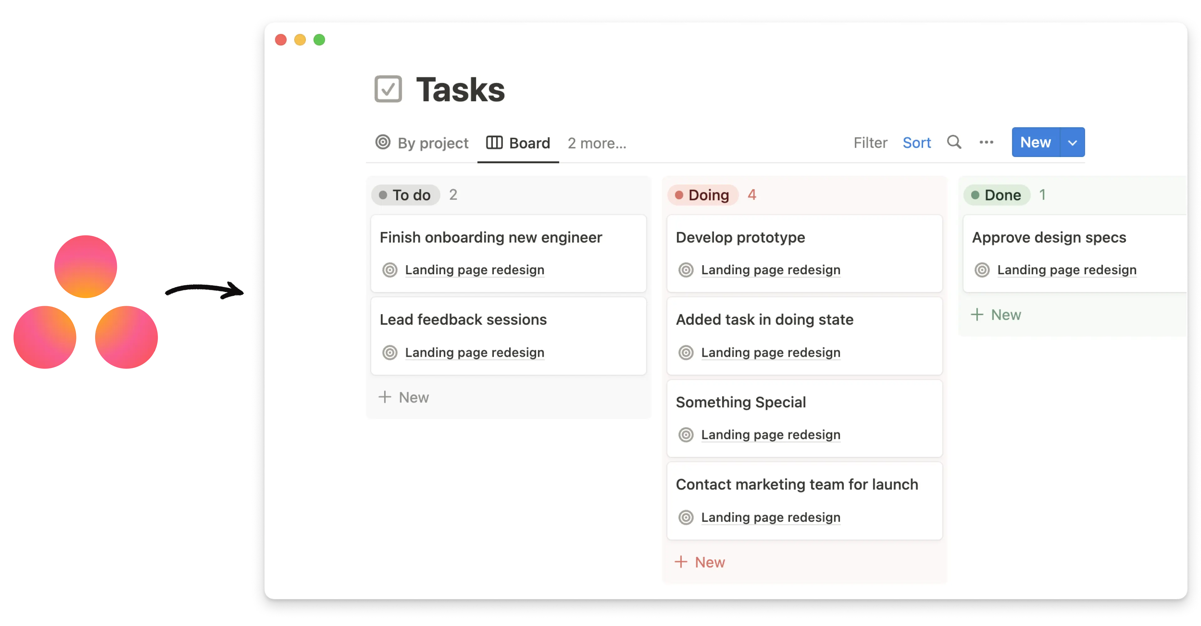asana importer whats new