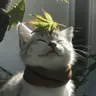 صورة الملف الشخصي لـ Riley