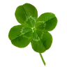 Profile picture of Moni