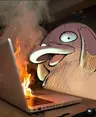 Profile picture of Sam