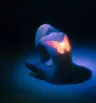 Profile picture of Neon Soul Design