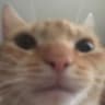 Profile picture of karelys
